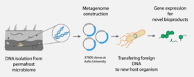 CHEM_Bio_Metagenomics research