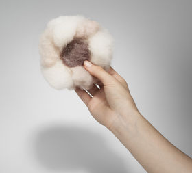 a fluffy piece of white wool with brown wool in the middle