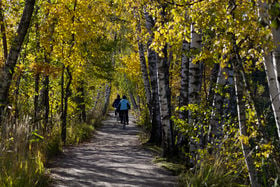 Two cyclists on their bikes with their backs to the camera, cycling on a path through the woods in Otaniemi, autumnal colours