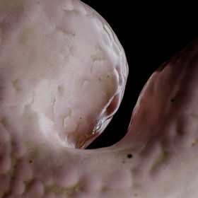 close-up of a organic shaped sculpture