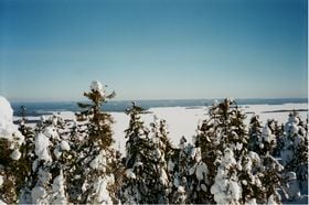 a view from Koli