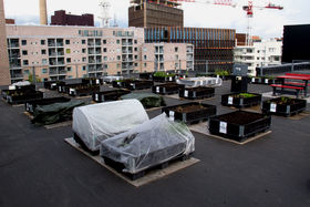Biochar was delivered to the rooftop garden in the Cable Factory