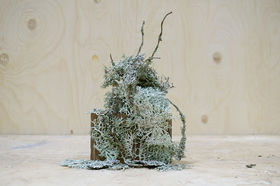 A sculpture made of a light green-blueish lichen 