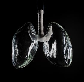 Glass sculpture representing lungs