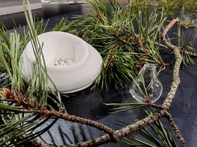A ceramic and glass object hiding among pine needle branches