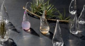 A collection of clear and coloured teardrop-like glass shapes alongside pine branches