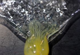 Close up of a yellow and clear glass textured object showered with light