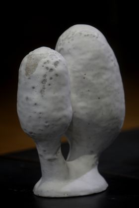 A tree or mushroom like shaped ceramic object growing in two directions and joining together