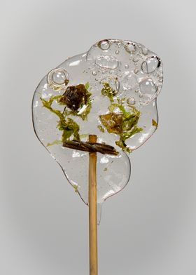 A bubbly, clear and flat lollipop with algae bits