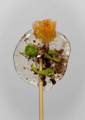 A clear, flat lollipop with a face made of algae