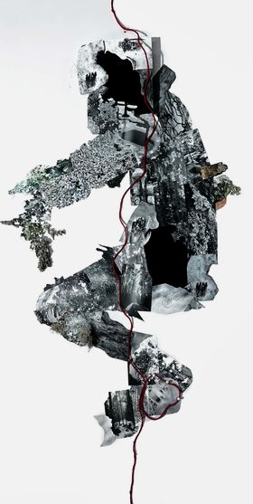 A body made of photographs/collage