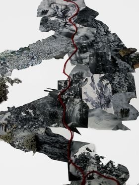 A body made of photographs/collage