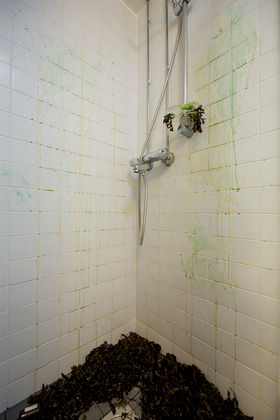 White tiled shower that is now full of green residue from the soap and algae are covering the floor
