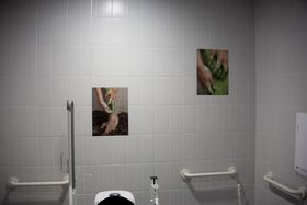Photo story mixing the bathroom with the sea - printed photographs exhibited in a public bathroom