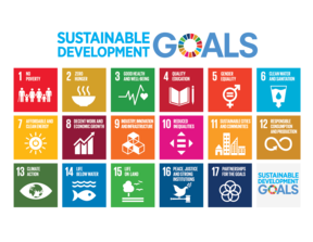 Sustainable Development Goals All 