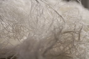 Nanocellulose yarn that captures hormones from waste water. Photo: FINNCERES