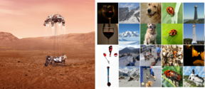 On the right, NASAs perseverence rover, on the right, a selection of GAN generated images showing some convinving and some bad pictures of dogs, mountains, lighthouses and wine
