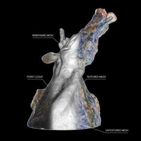 Unicorn sculpture with various levels of progress in the photogrammetry process.