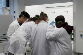 Neljä nuorta tekevät kemian töitä vetokaapissa