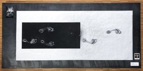 an art piece with footprints on it
