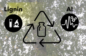 Graphic showing a birch tree with chemical icons