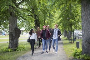 Opiskelijoita kävelemässä vihreiden puiden alla