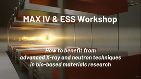 MAX IV - ESS workshop