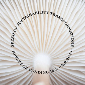 Nessling foundation funding add with graphic