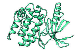 Protein kinase 3D model
