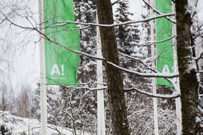 Two green Aalto flags waving on campus in winter.