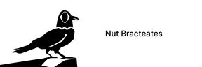 A black and white drawing of a bird on the left, on the right text saying Nut Bracteates