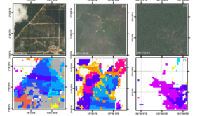 Example deforestation maps (bottom) are produced using the satellite data and proposed algorithm. The maps show the time of deforestation events aggregated by years. The high resolution images (top) for validation purpose were obtained through Digital Globe viewing service.