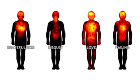 Feelings are associated with discernible bodily 'fingerprints'.