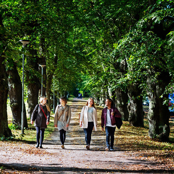 Students walking down a path on Aalto University campus