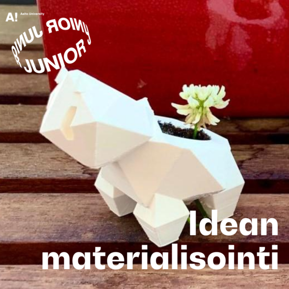 idea_Junior