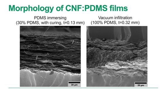 Master's thesis, Derya Dilara Atas, Morphology of CNF:PDMS films. Image by Derya Dilara Atas / Aalto University