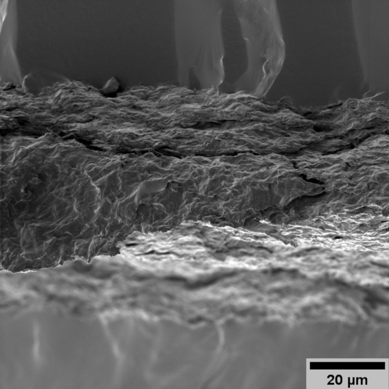 Scanning electron microscopy image of cellulose nanofiber - PDMS composite film / Image: Aalto University, Derya Atas