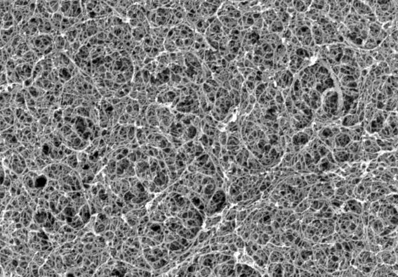 SEM of bio-based 3D structure porous material