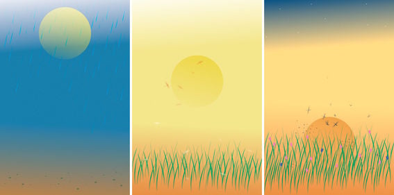 Three-panel graphic showing 1 rain, 2 growing grass under the sun, and 3 flowering plants under a setting sun
