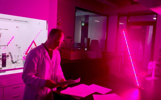 James Evans reading scientific paper in a chemistry lab in purple glowing light