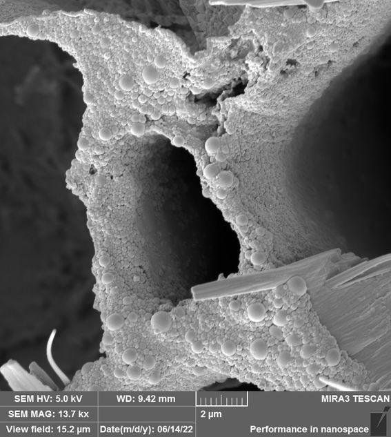 SEM image of lignin nanoparticles on the wood cell walls. Image by Aalto University, Noora Jäntti