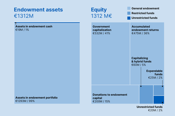 Endowment assets graphs