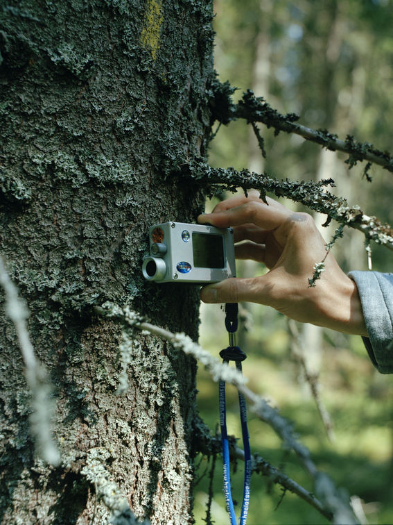 a moment of exhibition tree scanning with a device