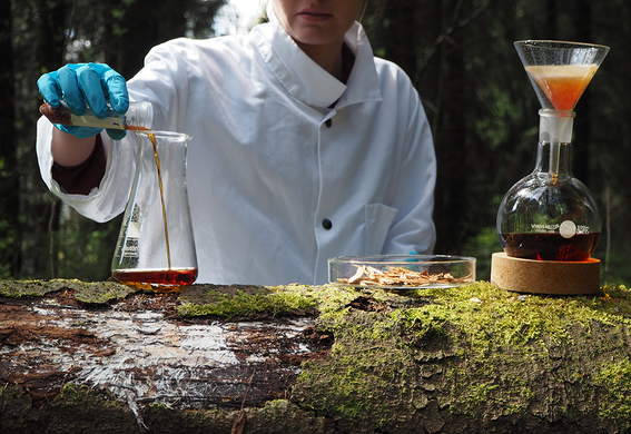 Color photograph of a person in the forest wearing a lab coat and blue gloves pouring brown liquid from a glass tube into a glass flask, next to a container of bark/wood chips and a brown liquid being filtered into another glass flask