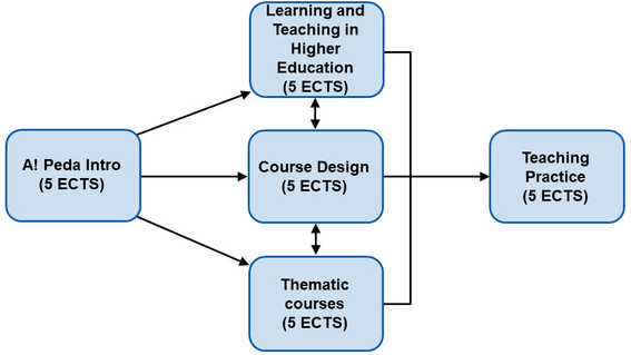 Structure of pedagogical courses