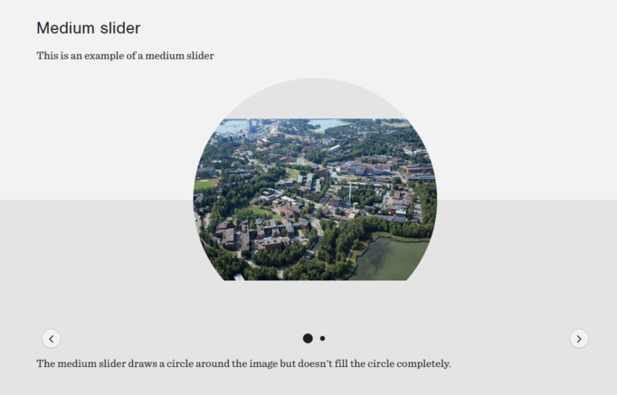 A screenshot of a webpage component called Media slider in medium mode