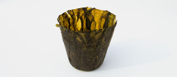 Seaweed cup, Emma Sivusalo