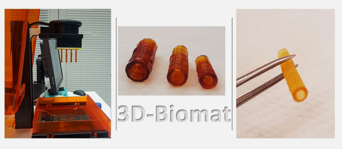PoTe 3D-Biomat Photo: Afsoon Farzan