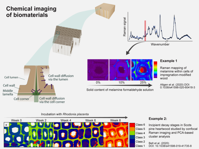 CHEM_Bio_Chemical imaging of biomaterials