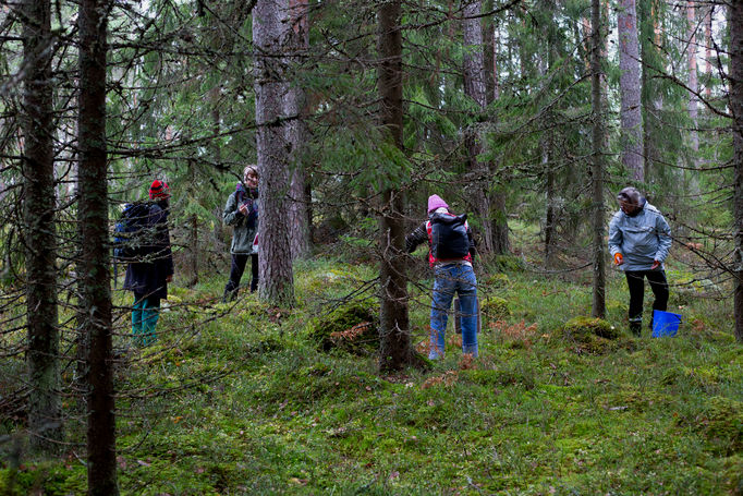 Four ViCCA students stand apart amongst the forest trees looking for mushrooms